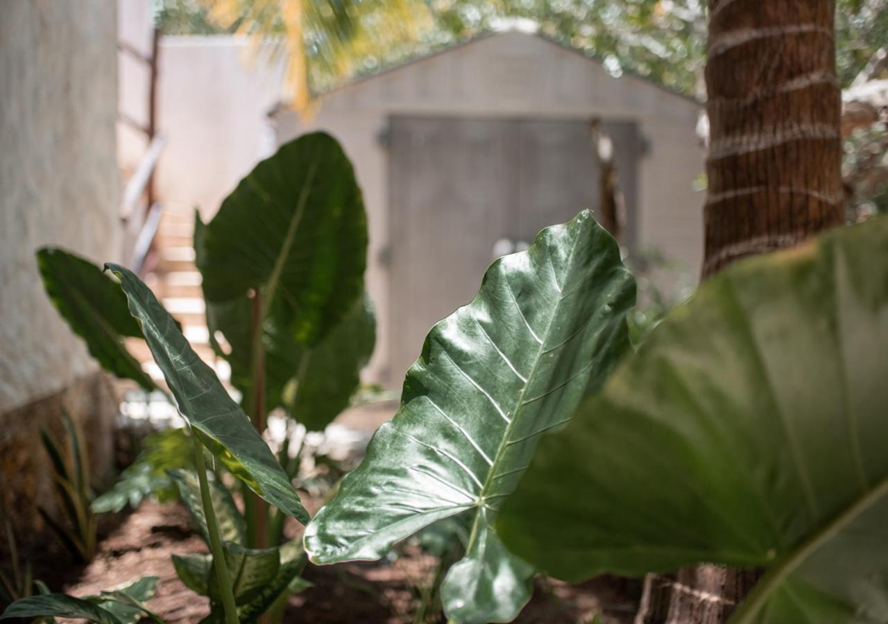 Villa Los Mangles Boutique Hotel Holbox  Eksteriør bilde